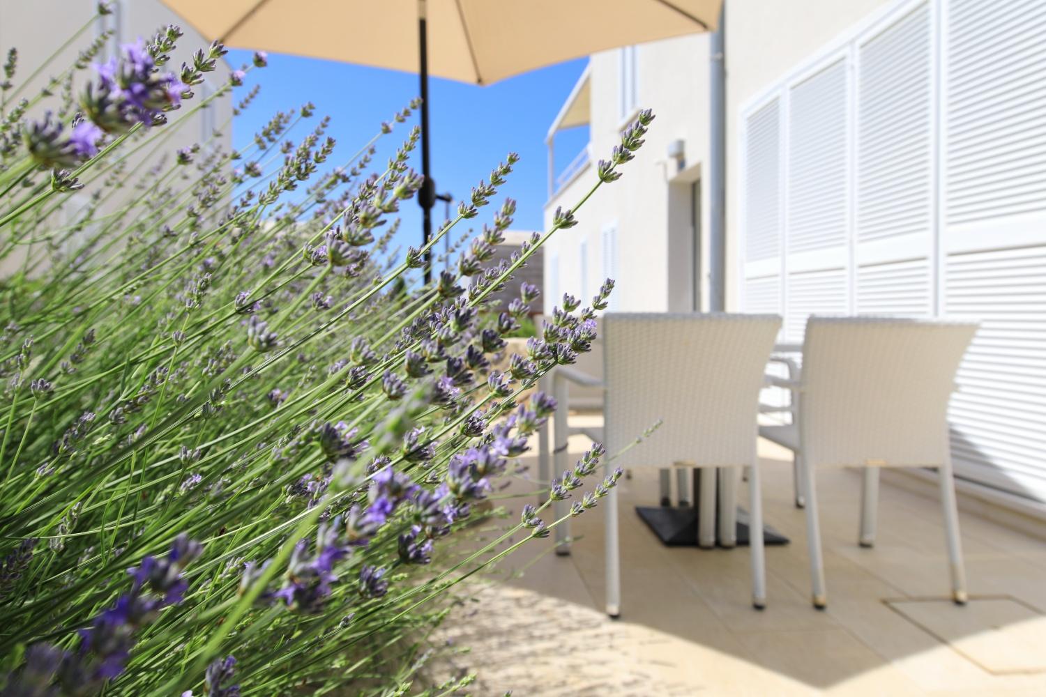 Sunnyside Apartments Resort Petrcane Luaran gambar